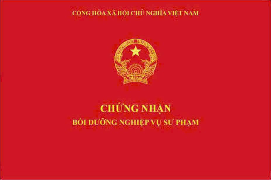 Bồi dưỡng nghiệp vụ sư phạm giáo dục mầm non - Nghiệp vụ UEED