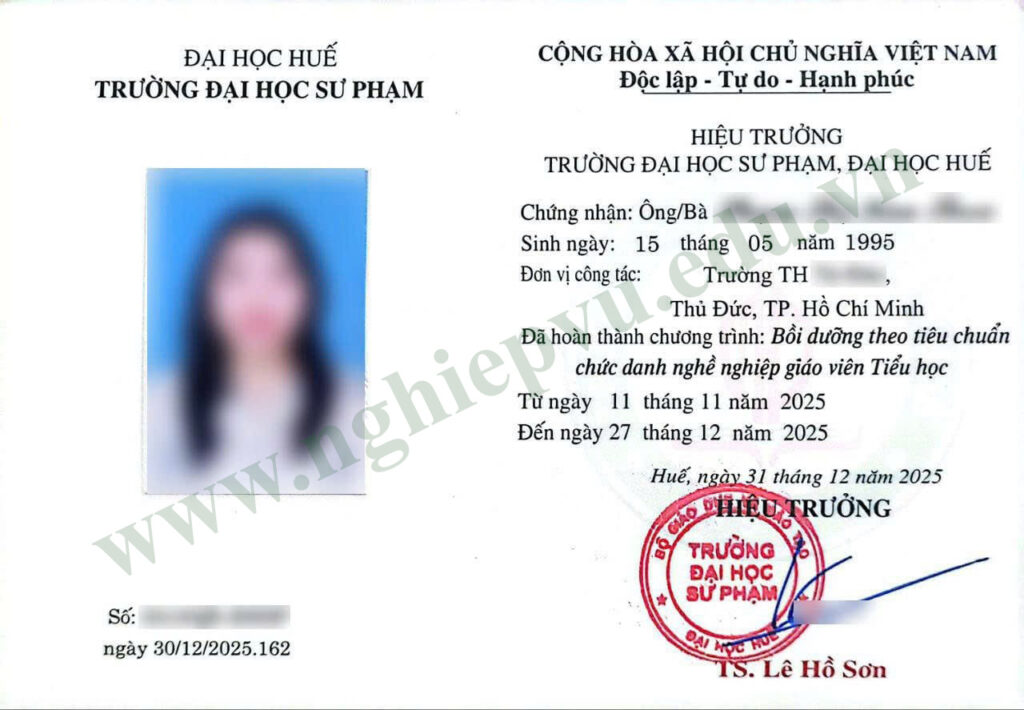 Chức danh nghề nghiệp giáo viên Tiểu học - Nghiệp vụ UEED